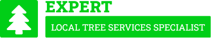 Rotorua Tree Removal - Tree Removal Rotorua